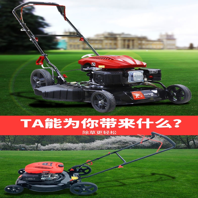 大理草坪机