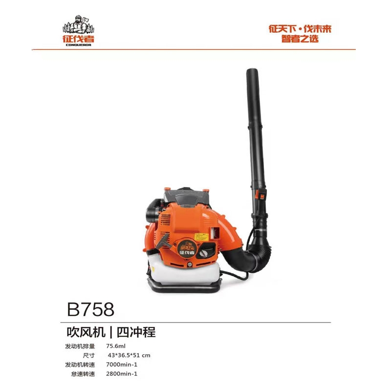 吉安吹风机B758
